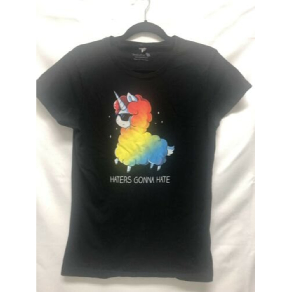 Teeturtle Rainbow Llama shirt Small